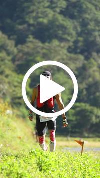 BIB:  <button type="button" onclick="openModal(26576599)" class="btn btn-primary btn-sm float-right" data-toggle="modal" data-target=".modal-high-quality">
                <i class="fa fa-download"></i> Download
                </button>